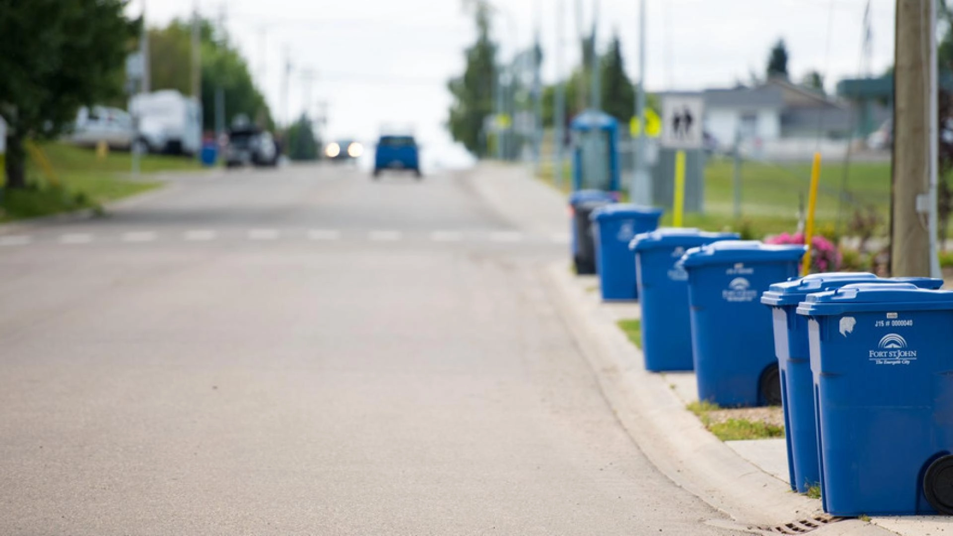 A row of blue recycling carts set out at the curb along a residential street